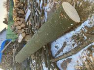 Rundholz Buche Astrein