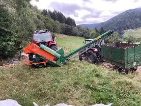 Dienstleistung Brennholz Tom