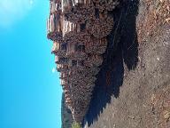 Brennholz Buche