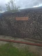 Brennholz Esche, Buche