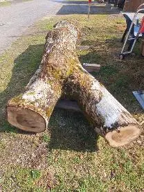 Rundholz Rundholz Nuss Astrein