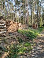 Brennholz Birke, Pappel, Eiche Mariasdorf