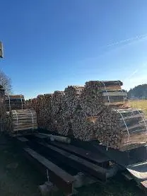 Brennholz Brennholz Esche, Buche, Erle