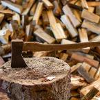 Brennholz Esche, Buche