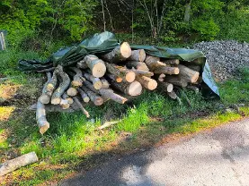 Brennholz Brennholz Esche, Buche Rundholz 4-5m länge