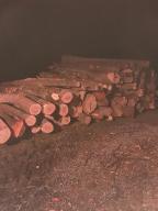 Brennholz Fichte, Esche, Buche