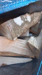 Brennholz Buche