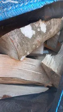Brennholz Brennholz Buche