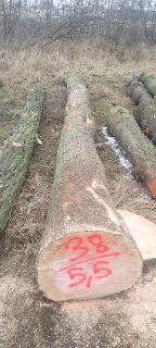 Rundholz Esche Palterndorf