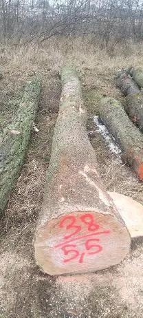 Rundholz Rundholz Esche