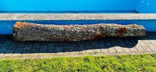 Rundholz Birne Traunkirchen