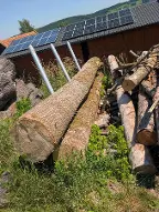 Rundholz Esche Mönichkirchen