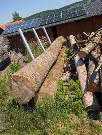 Rundholz Rundholz Esche