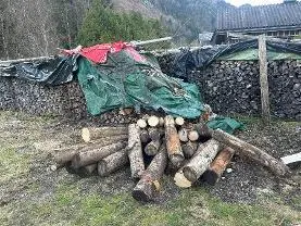 Brennholz Brennholz Eiche, Ahorn, Buche