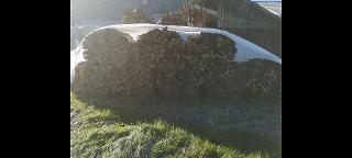 Brennholz Esche, Ahorn, Buche