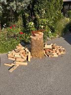 Brennholz Esche, Ahorn, Buche schön gespaltenes, trockenes Brennholz