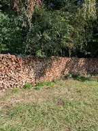 Brennholz Buche Vasoldsberg