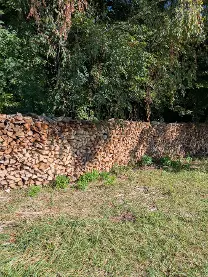 Brennholz Brennholz Buche