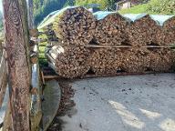 Brennholz Esche, Ahorn