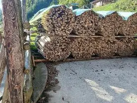Brennholz Brennholz Esche, Ahorn