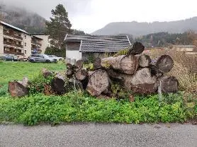Rundholz Rundholz Ahorn