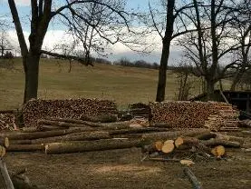 Brennholz Brennholz Eiche, Buche