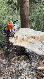 Dienstleistung ASG HOLZ (Wegebau, Holzernte & Rückung)