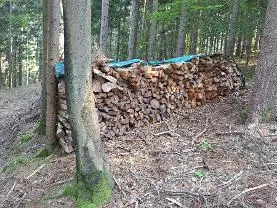 Brennholz Brennholz Fichte, Kiefer