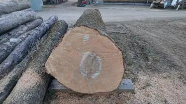 Rundholz Rundholz Esche Astrein