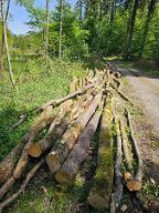 Brennholz Fichte, Esche, Buche Rankweil