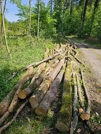 Brennholz Brennholz Fichte, Esche, Buche