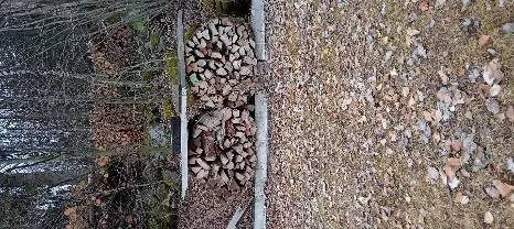 Brennholz Brennholz Buche