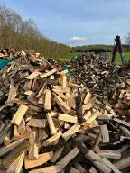 Brennholz Esche, Eiche, Buche Kaminholz Brennholz Trocken Ofenfertig, ab 60€ Rm