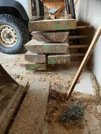 Schnittholz Schnittholz Sonstiges Holz Platane