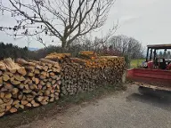 Brennholz Eiche, Kiefer, Erle Feldkirchen an der Donau
