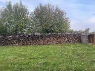 Brennholz Fichte, Esche, Buche Brennholz 3 Sommer getrocknet, Wunschlänge!