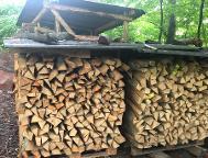 Brennholz Buche
