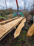 Schnittholz Kirsche Lorch