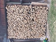 Brennholz Fichte, Buche