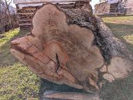 Schnittholz Birne Astig Losenstein