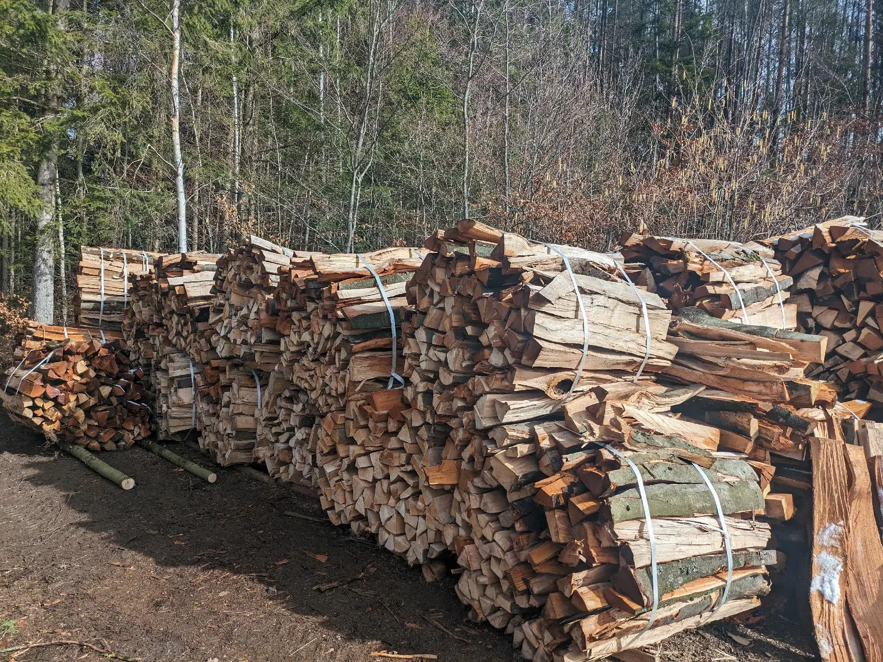 Brennholz Buche In Der Nahe