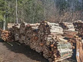 Brennholz Brennholz Buche