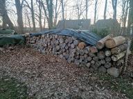 Brennholz Fichte Warstein