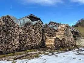 Brennholz Brennholz Esche, Buche