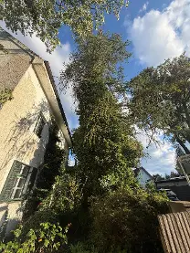 Rundholz Rundholz Lärche