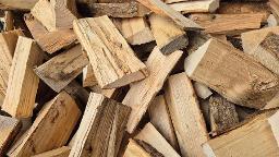 Brennholz Esche, Buche Feldkirchen