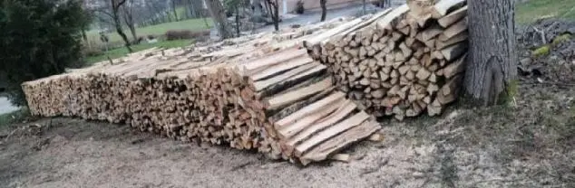 Brennholz Brennholz Fichte