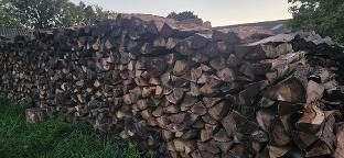 Brennholz Eiche, Buche