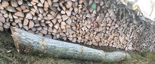 Brennholz Brennholz Fichte, Erle