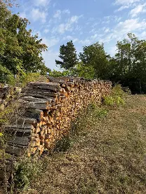 Brennholz Brennholz Eiche